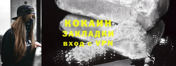 PSILOCYBIN Лиски