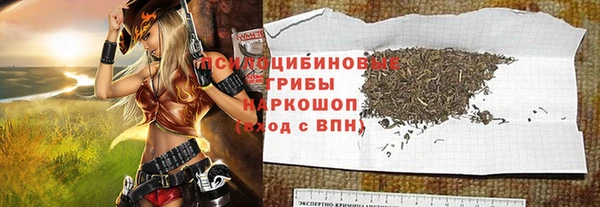 PSILOCYBIN Лиски