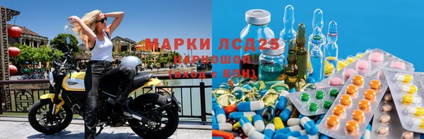PSILOCYBIN Лиски
