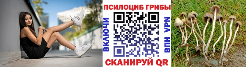 мега рабочий сайт  Первомайск  Галлюциногенные грибы Cubensis  купить  